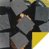Study abroad with WSB